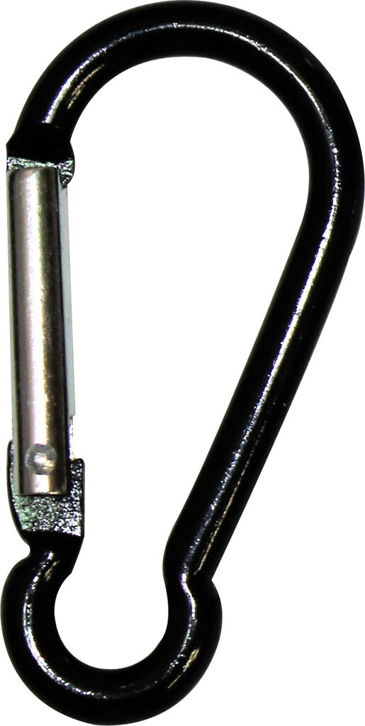 Carabiner Key Ring