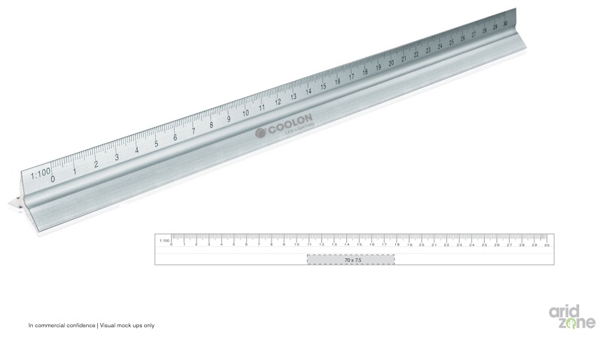Scale Ruler 30cm 5 Different Scales