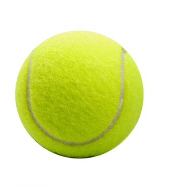 Dog Tennis 