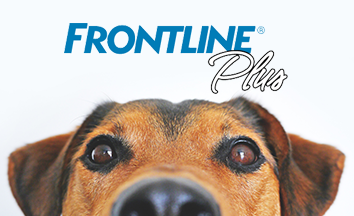 Frontline Tick campaign