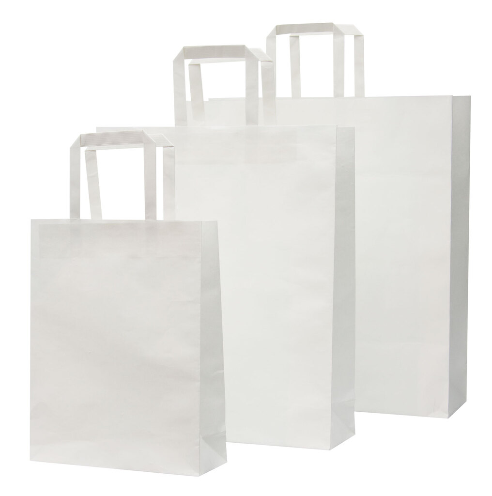 Paper Bag - Large