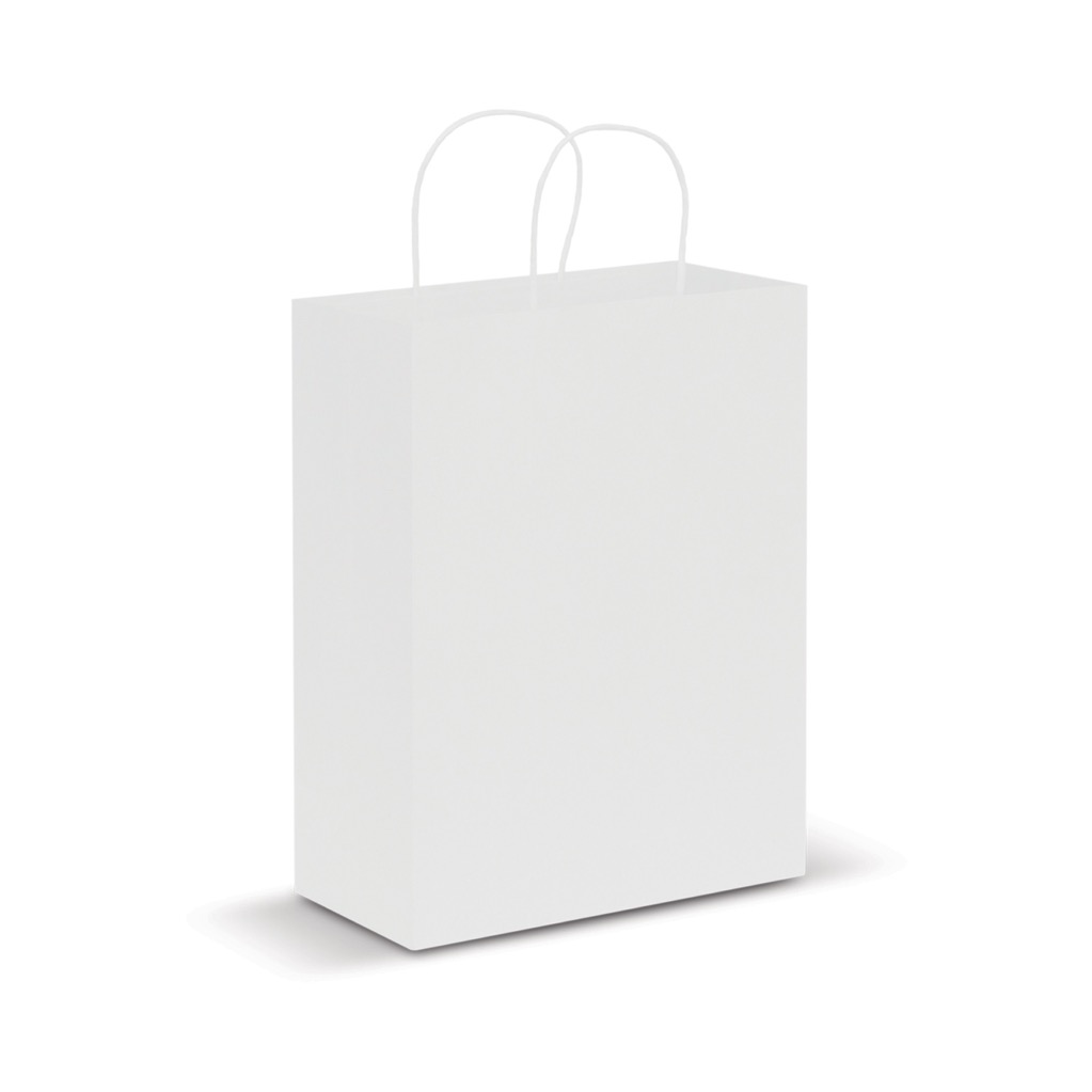 Paper Carry Bag - Large