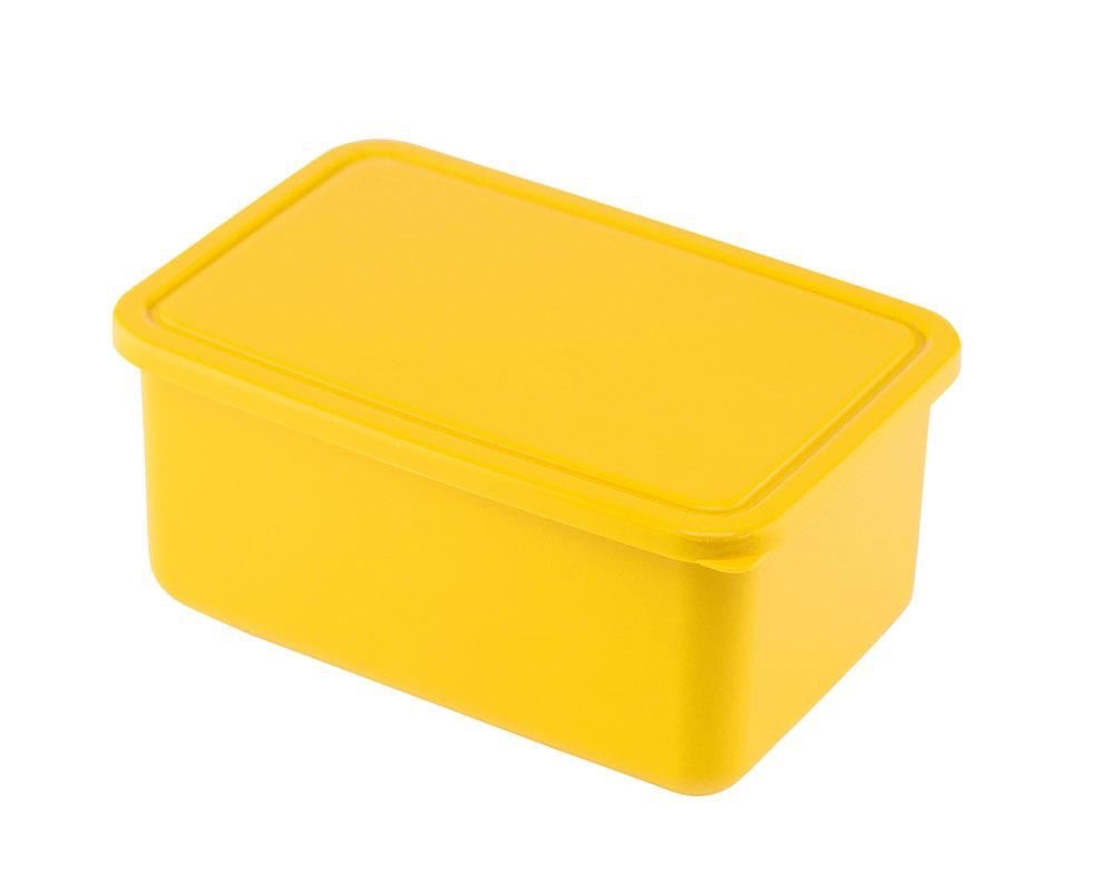 Large Lunch Box