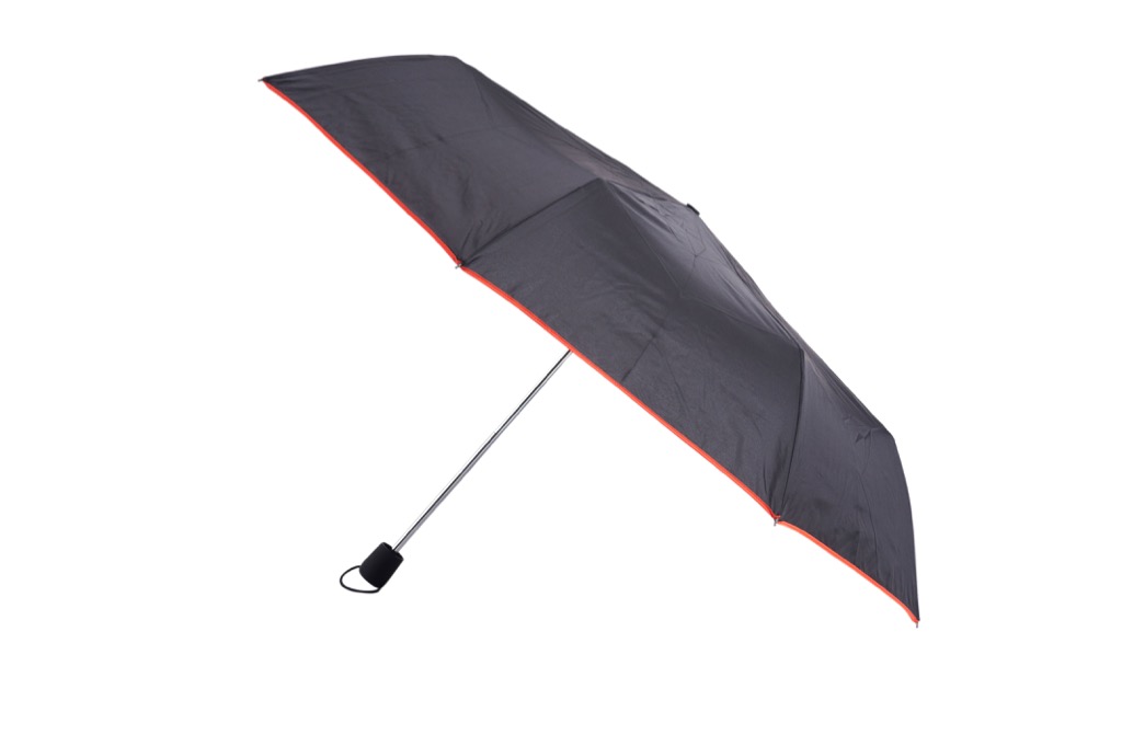 Delta Folding Umbrella