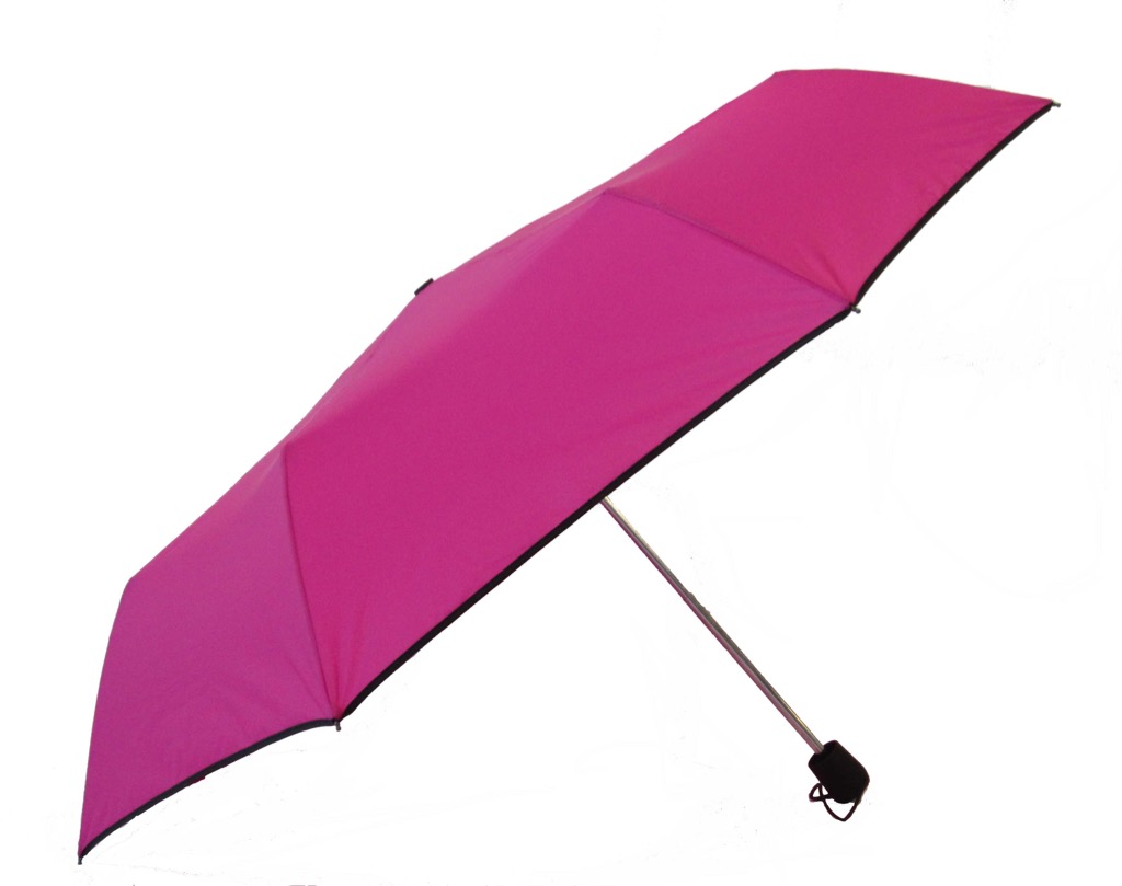 Delta Folding Umbrella