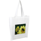 Non-Woven Shopping Bag