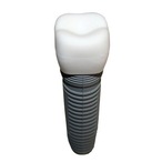Tooth Implant PVC Flash Drive