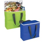 Arctic Zone  30-Can Foldable Freezer Tote