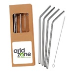 Set of Stainless Steel Straws