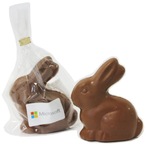 Milk Chocolate Bunny 80G